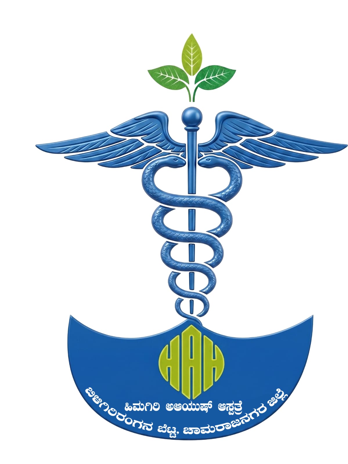 Himagiri Aayush Hospital